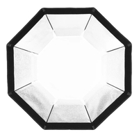 Godox SL100D 2 Head LED Daylight Octa Softbox Kit