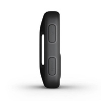GoPro The Remote