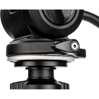 Benro A38FD Monopod & S2PRO Head