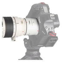 Canon 2.0X III Extender Lens