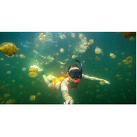GoPro 3-Way Mount for GoPro HERO Cameras