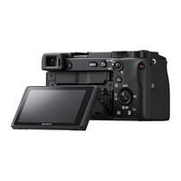Sony A6600