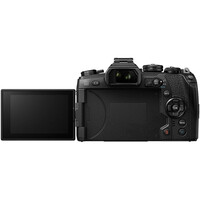 Olympus OM-D E-M1 II + M.Zuiko 12-40mm f/2.8 PRO Lens