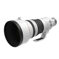 Canon RF 400mm f/2.8 L IS USM Lens
