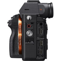 Sony A7R III A Camera with Sony FE 70-200mm f/2.8 GM Lens