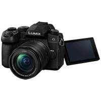 Panasonic Lumix G90 Mirrorless Camera with Lumix 12-60mm f/3.5-5.6 Lens