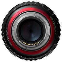 Canon CN-R50mm T1.3 L F Cinema Prime Lens - RF Mount