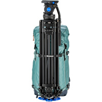 Shimoda Booster Strap Set