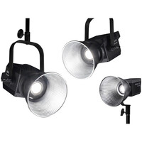 Nanlite Forza 300 Monolight 5600K LED Light