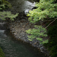 Sigma 85mm f/1.4 DG DN Art Lens - Sony E