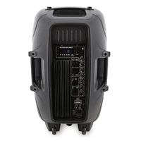 Swamp Powered PA Speaker - 15 Inch - Bi-amped 200W + 50W RMS