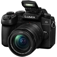 Panasonic Lumix G90 Mirrorless Camera with Lumix 12-60mm f/3.5-5.6 Lens