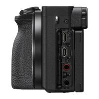 Sony A6600