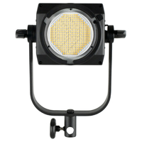 Nanlite FS-300 Twin 5600K Daylight LED Monolight kit