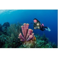 Sealife Micro 3.0 UW Explorer Set - Includes 2000F Light