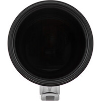 Canon EF 400mm f/2.8L IS III USM Lens