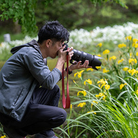 Nikon Z 100-400mm f/4.5-5.6 VR S Lens