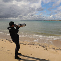 Canon RF 1200mm f/8 L IS USM Lens