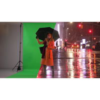 Manfrotto LL LB7781 Chroma-Key Vinyl Background - Green, 9 x 19.7'