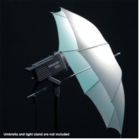 Aputure Amaran 100D Daylight LED Light