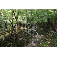 Canon EOS R8 - Body Only - Repack Stock