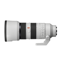 Sony A7R III A Camera with Sony FE 70-200mm f/2.8 GM Lens