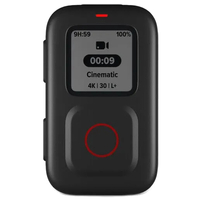 Gopro Hero 9 Black Remote Bundle
