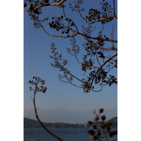 Panasonic Lumix S 24-60mm f/2.8 Lens