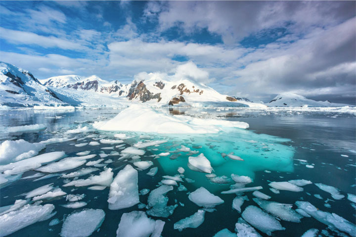 Antartica - Through the lens - image 11