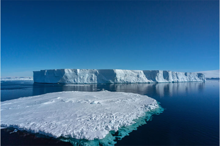 Antartica - Through the lens - image 17