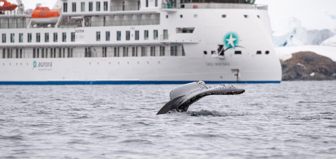 Antartica - Through the lens - image 21