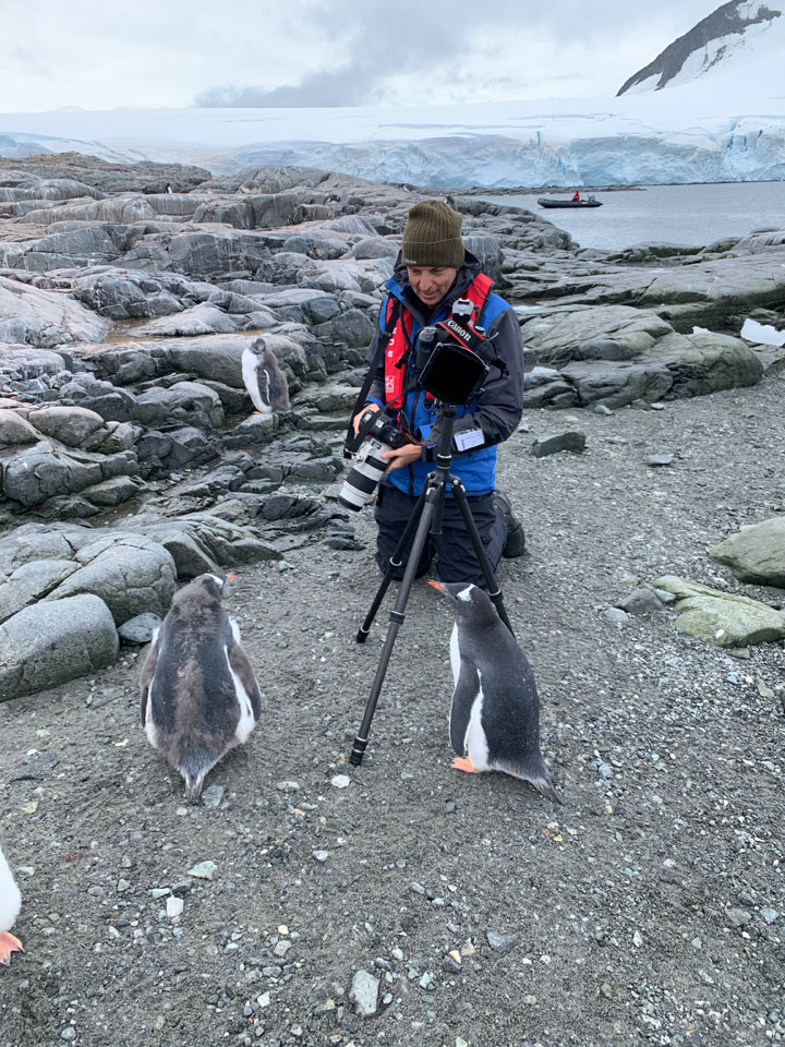 Antartica - Through the lens - image 9