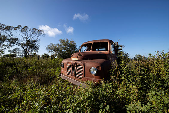 The Low-down on the Samyang 14mm f/2.8 Lens - Image 9