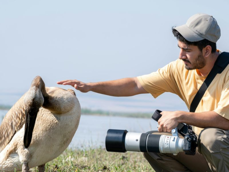 Wildlife photography camera