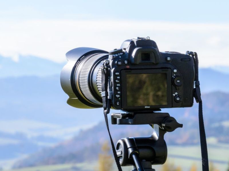 Professional camera for wildlife photography
