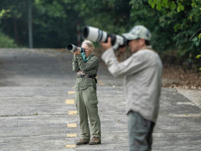 Super telephoto lens for wildlife photography
