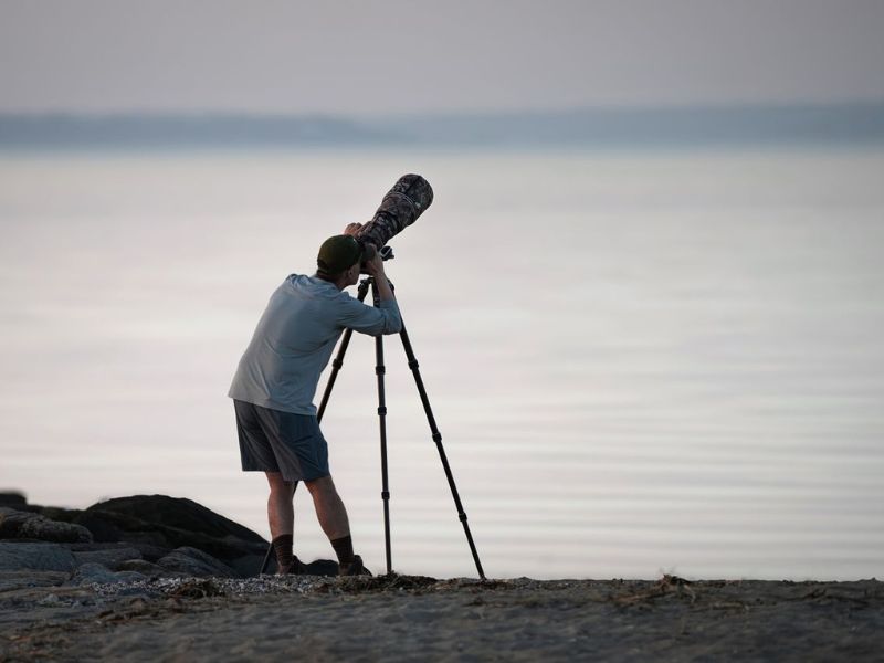 Monopod for wildlife photography