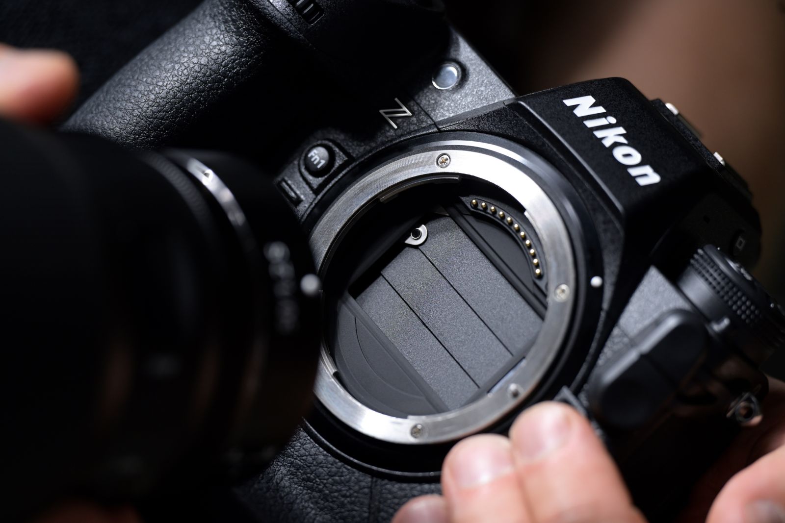 Nikon Z9 Hands-on Review: Is this Nikon's most impressive camera ever?