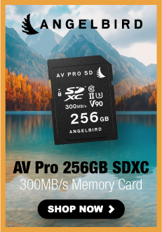 SanDisk 256GB memory Card - Save 55%