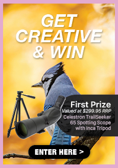 Services - Celestron