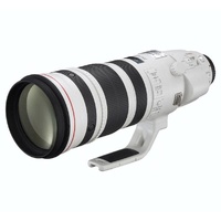 Canon EF 200-400mm f4L IS USM + 1.4x Tele-converter