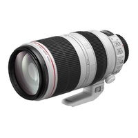 Canon EF 100-400mm f4.5-5.6L IS USM II Zoom