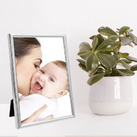 Profile Habitat Silver Photo Frame - 4x6"