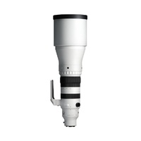 Sigma 300-600mm F4 DG OS Sports Zoom - Sony E