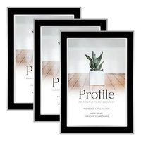 Profile Eternal Black 4x6 Metal Photo Frame - 3 Pack