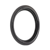 NiSi Black Mist 1/4 Filter for IP-A Filter Holder
