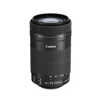 Canon EF-S 55-250mm f/4-5.6 IS STM Lens