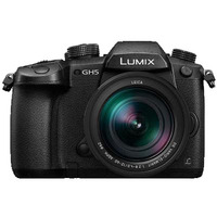 Panasonic GH5 + Leica 12-60mm f/2.8-f/4.0 Lens