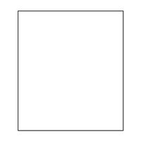 Muslin Background – 3 x 6m Plain - White
