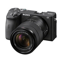Sony A6600 + 18-135mm OSS Lens